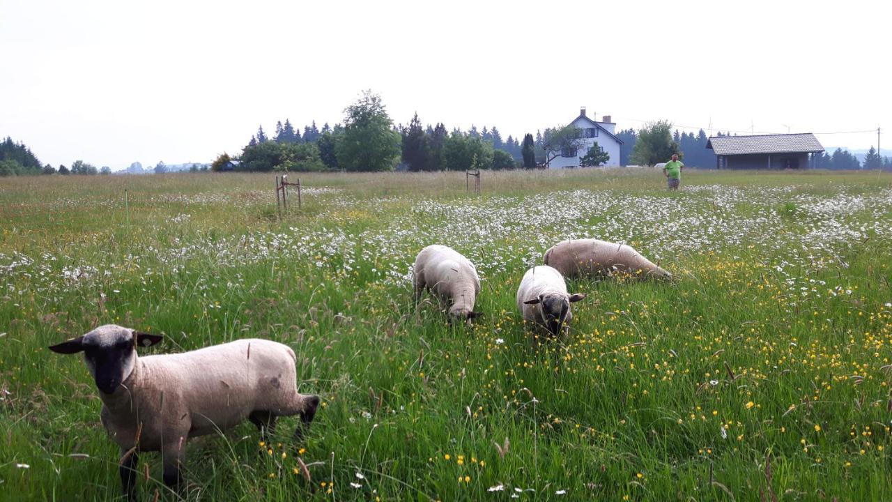 Ferienwohnung Biohof und Imkerei Schlössle Allgäu Untrasried Exterior foto